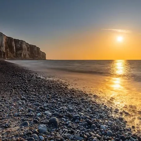 O Pied Marin Daire